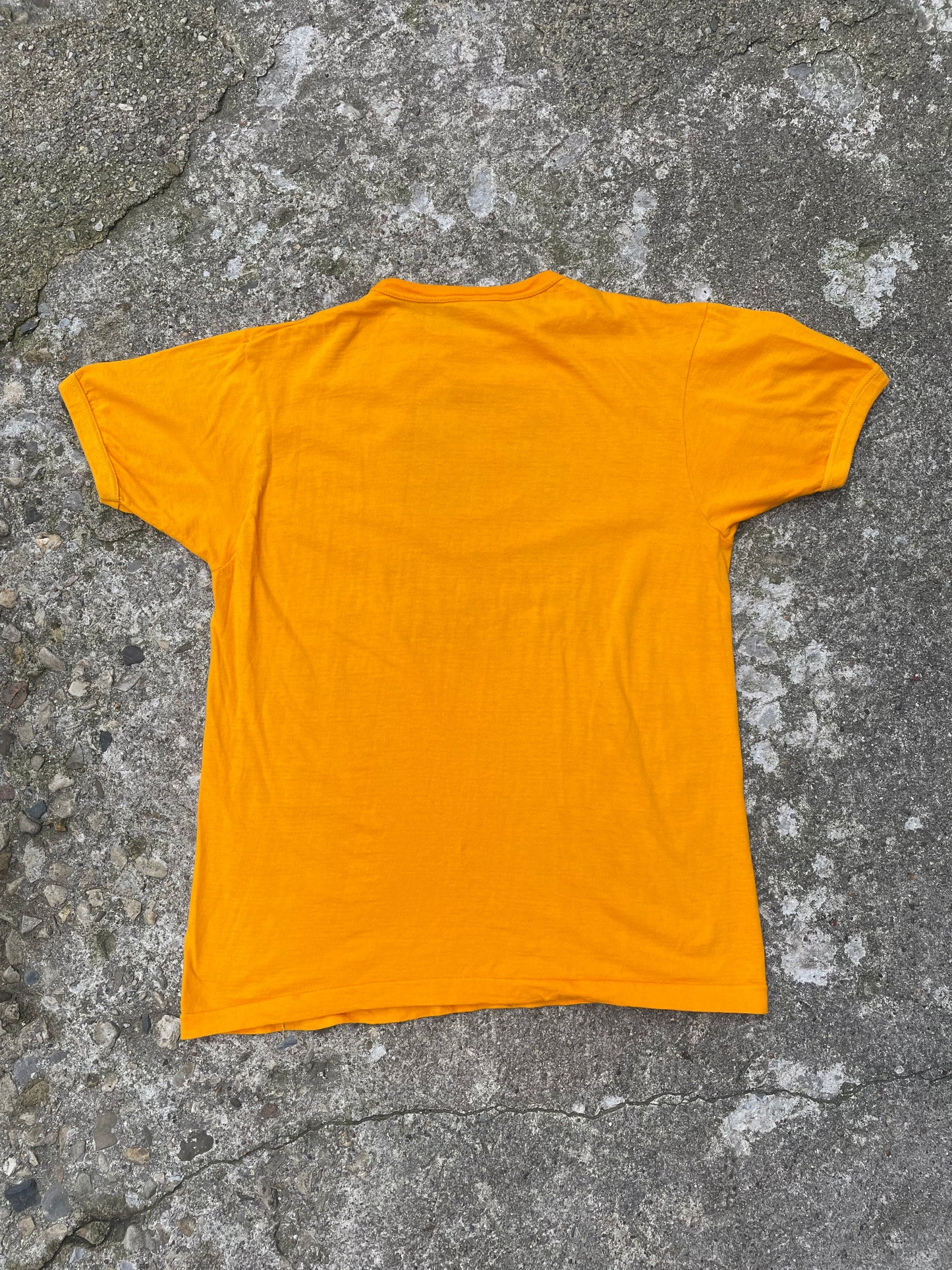 1980's Twin Cities Kitchener Graphic Ringer T-Shirt - L