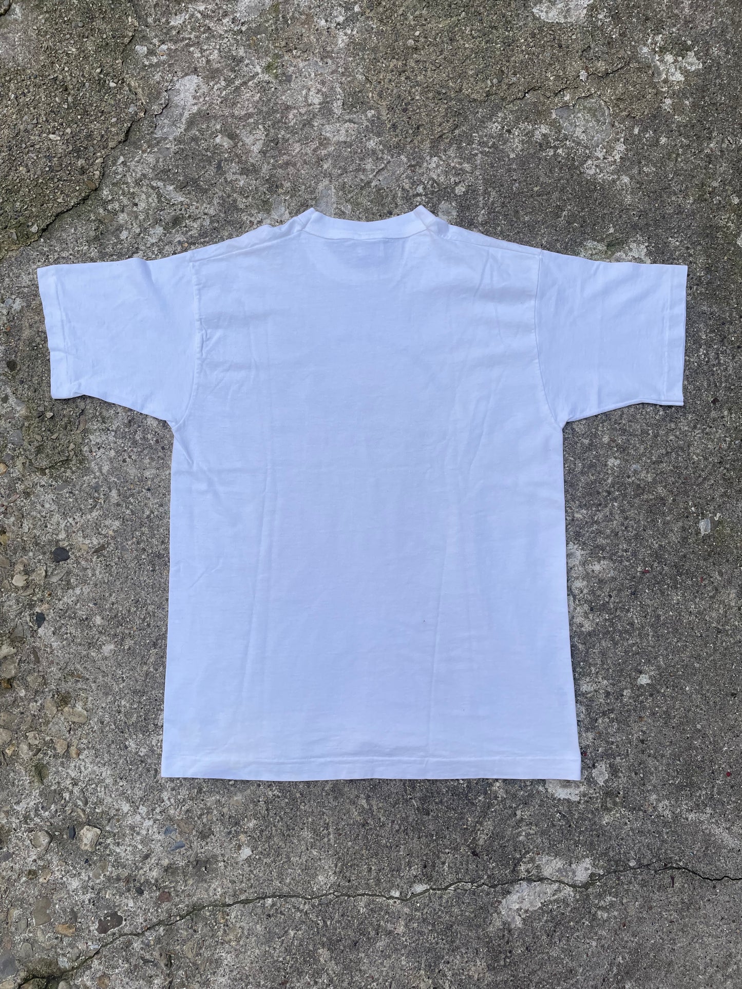 1990's Assiniboine Park Railroad Graphic T-Shirt - L
