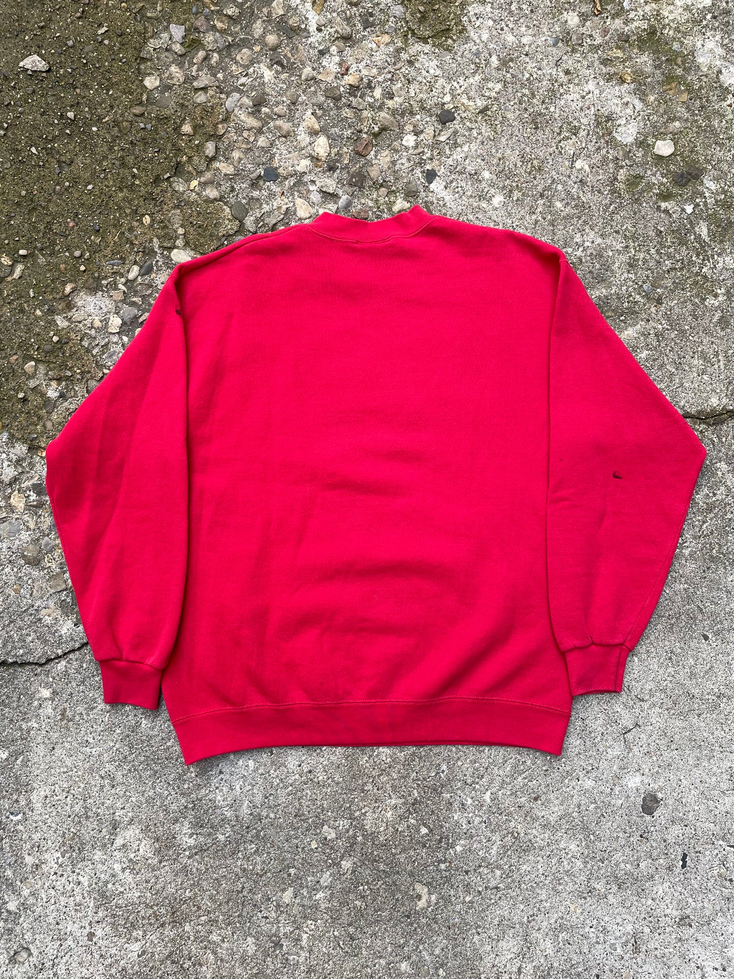 1990's Cornell University Crewneck Sweatshirt - L