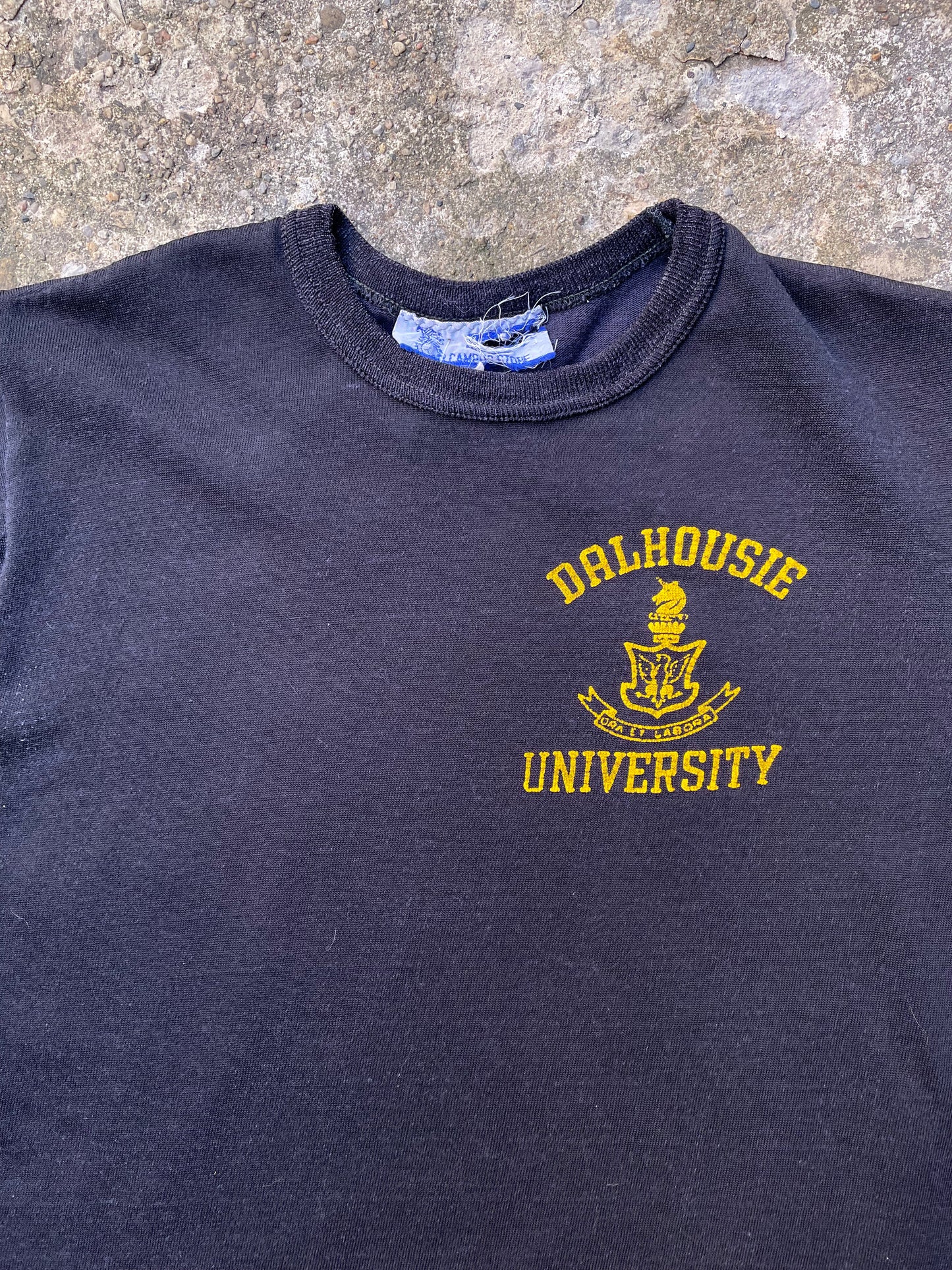 1960's/1970's Dalhousie University Ringer T-Shirt - S
