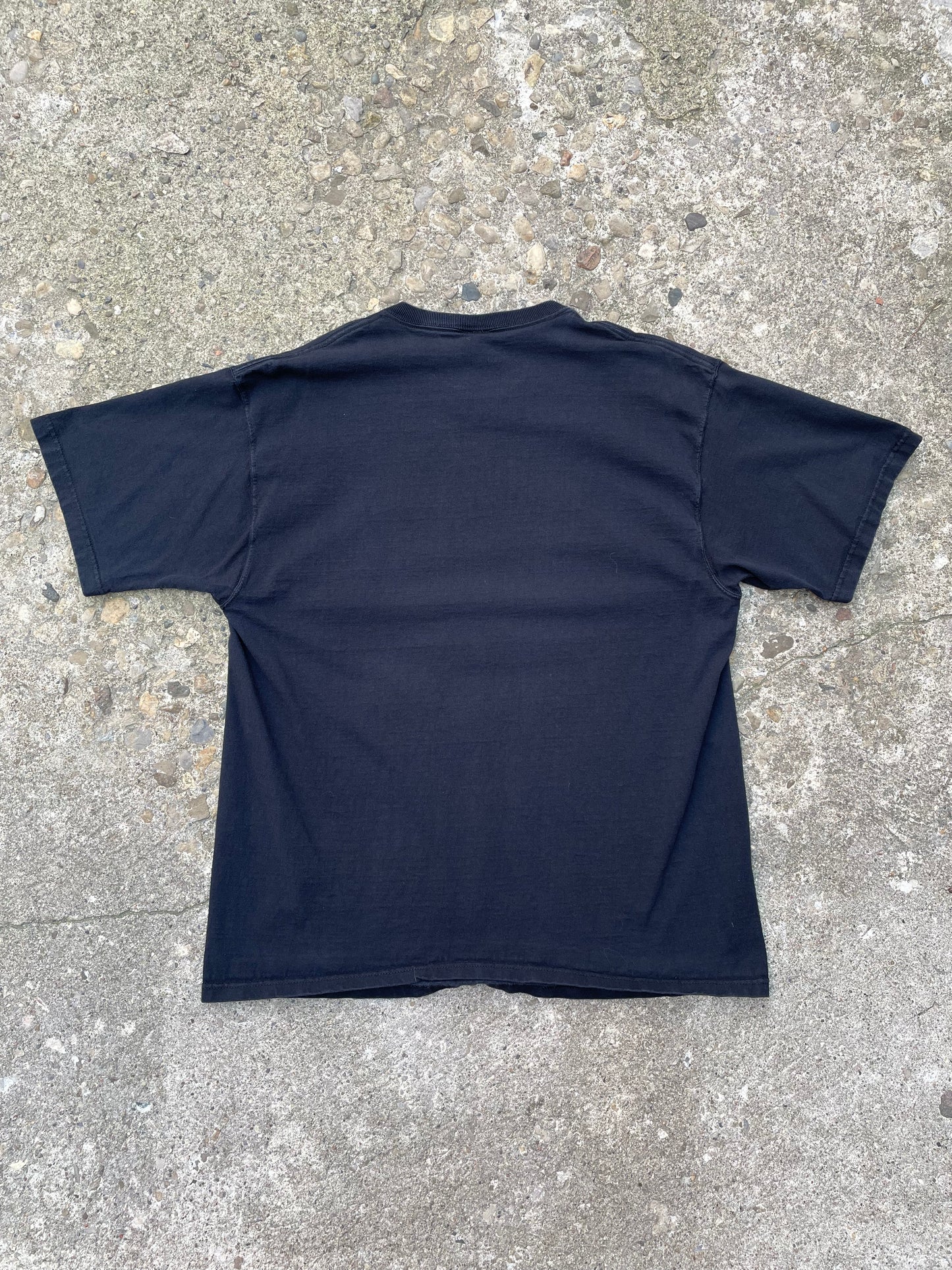 2000's Darwin Fish Evolution Graphic T-Shirt - XL